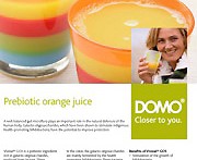 DOMO - Friesland ...